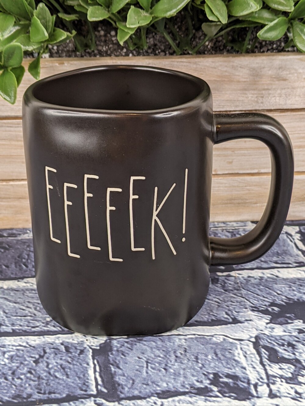 Rae Dunn EEEEEK! Black Mug - Farmhouse Halloween Ceramic Mug